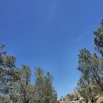 Old Isabella Road Recreation Site