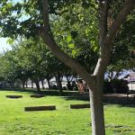 Lake Isabella RV Park