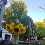 Maple River Campground