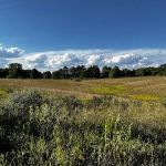 Stony Creek Metropark