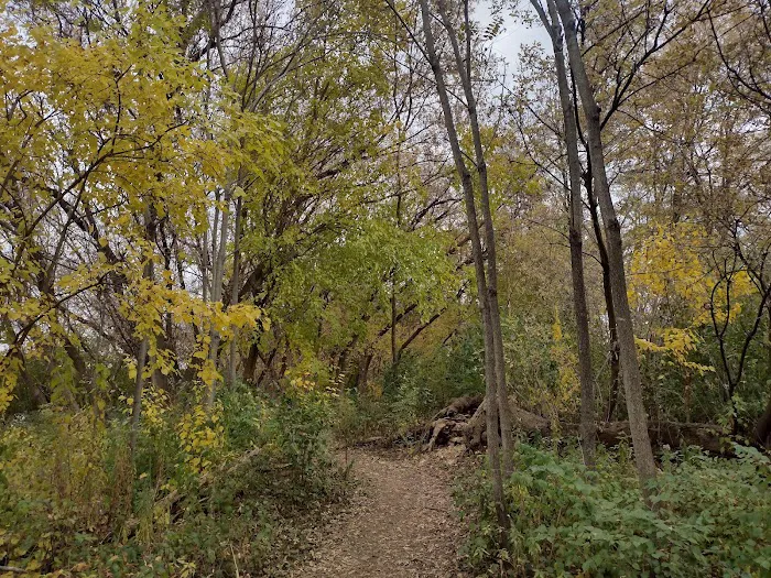 Gallup Park 4