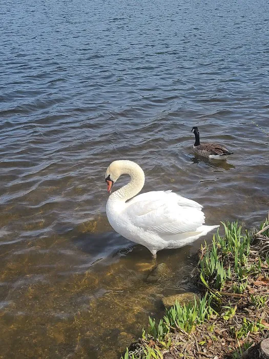 Gallup Park 8