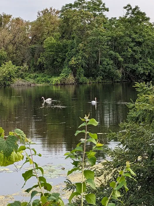 Gallup Park 3