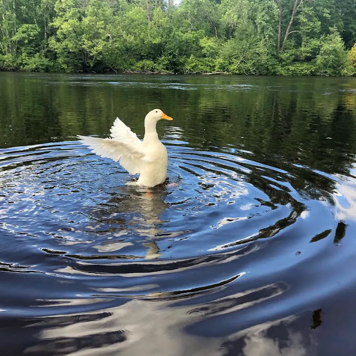 Rivers Bend RV Resort & Campground 5