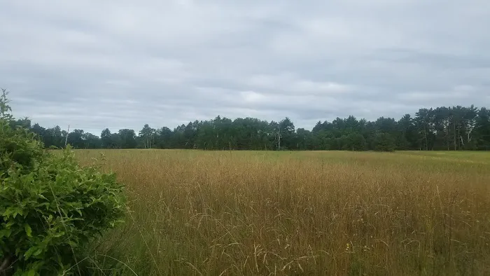 Summer Breeze Campground 5
