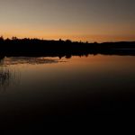 Cookson Lake Dispersed Campsite