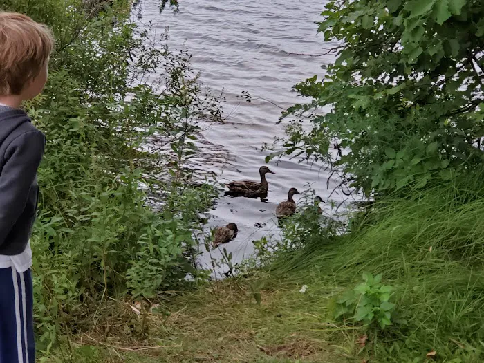Beaufort Lake State Forest Campground 7