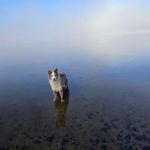 Beaufort Lake State Forest Campground