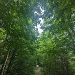 Marquette County Perkins Park & Campground