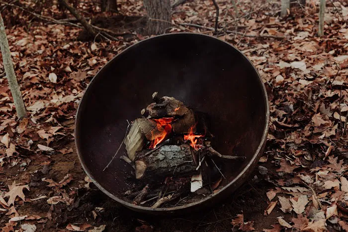 The Woods Luxury Camping 4