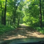 Yankee Springs Deep Lake Rustic Campground