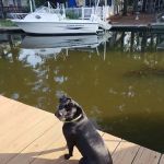 Beach Harbor Camper's Co-Op