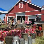 Shipshewana Trading Place