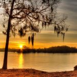 Lake Marion Resort and Marina