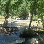 Piper Creek Campground