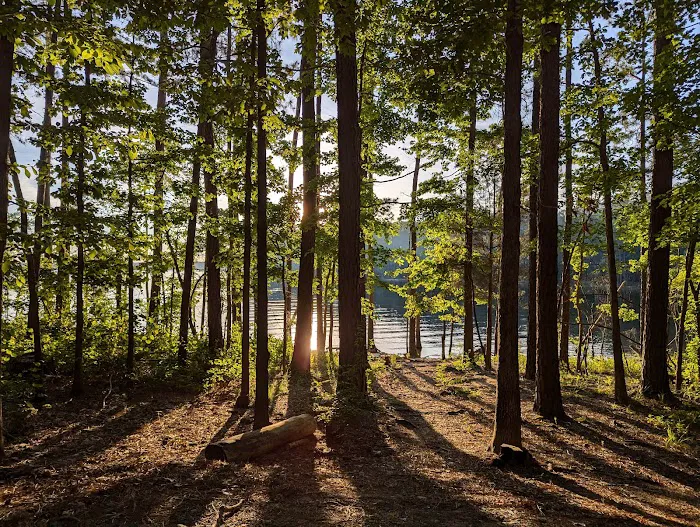 Poplar Point Campground 7