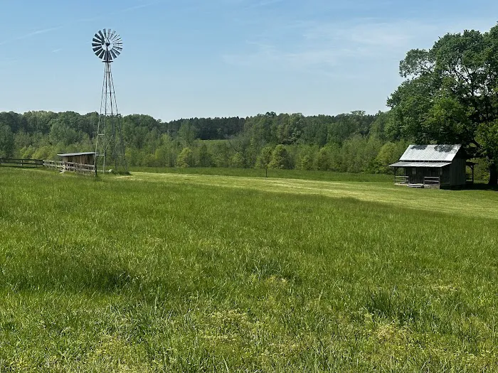 Cane Creek Campground & RV Prk 4
