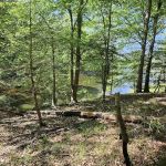 BW Wells Group Campsites 1-5