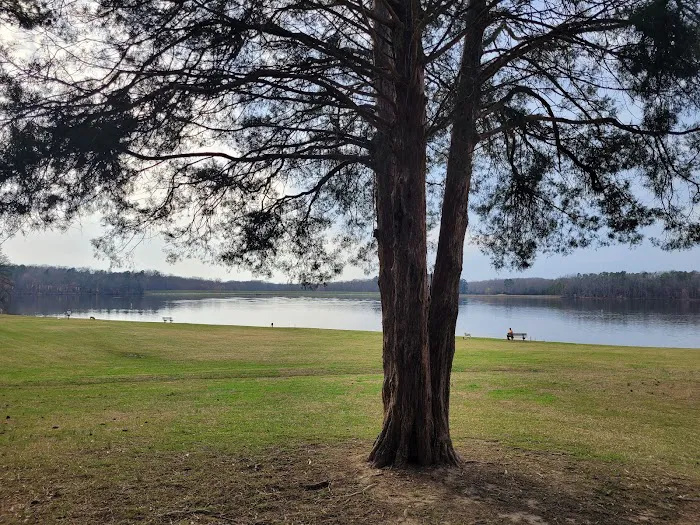 Cane Creek Campground 7