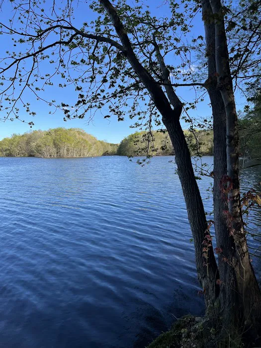 Cane Creek Campground 4