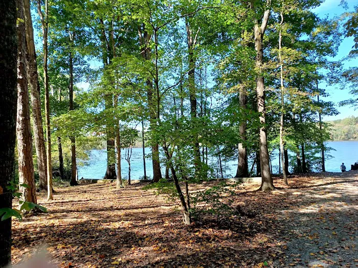 Cane Creek Campground 8