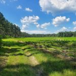 Broxton Bridge Campgrounds