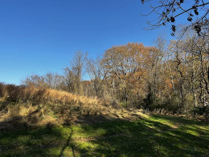 Piney Run Park 8