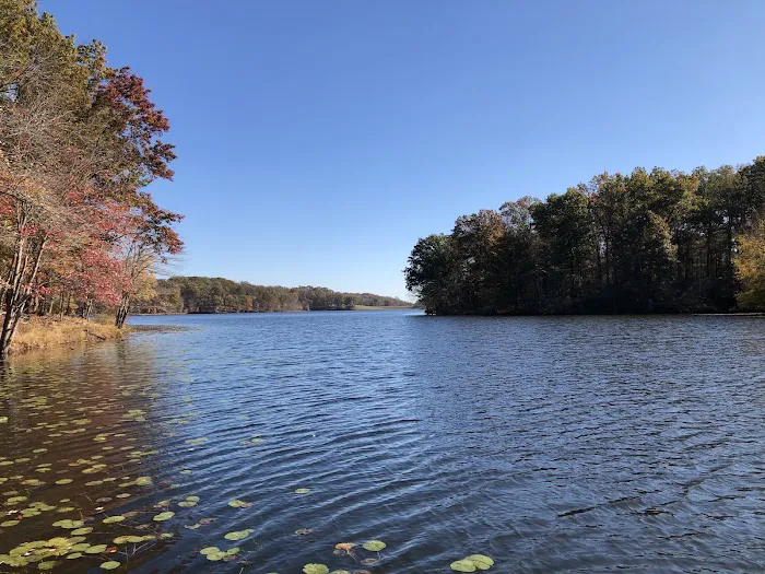 Piney Run Park 4