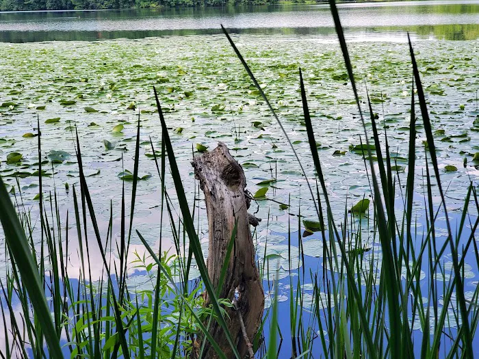 Piney Run Park 7
