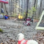 Little Bennett Campground Loop A Tent Area