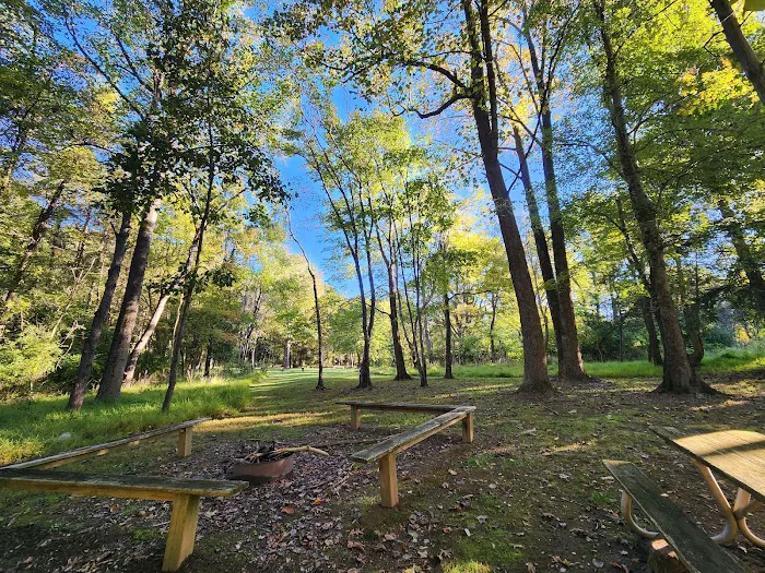 CW Camping 2