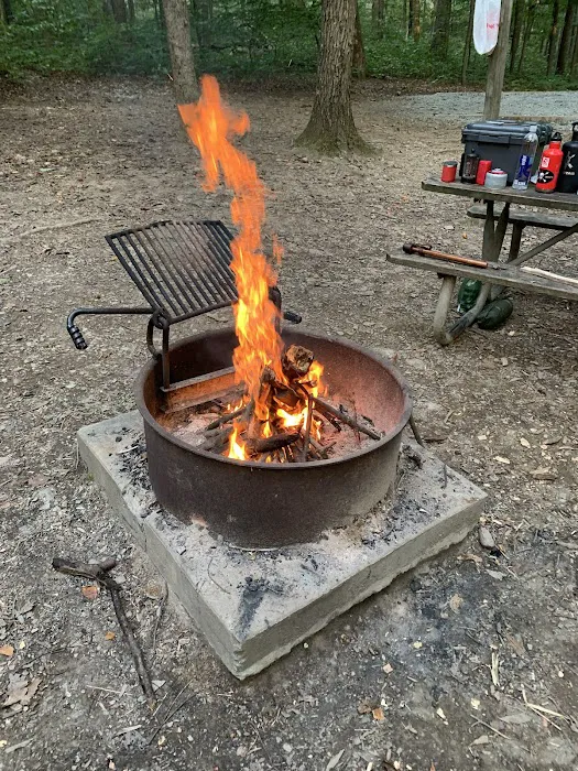 Little Bennett Campground 6