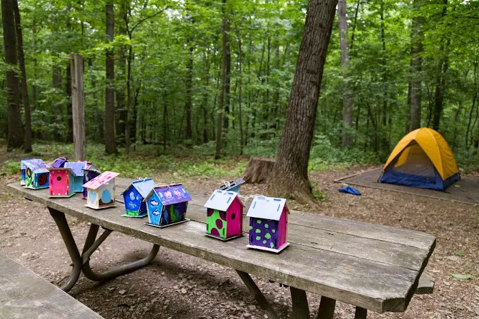 Little Bennett Campground 8