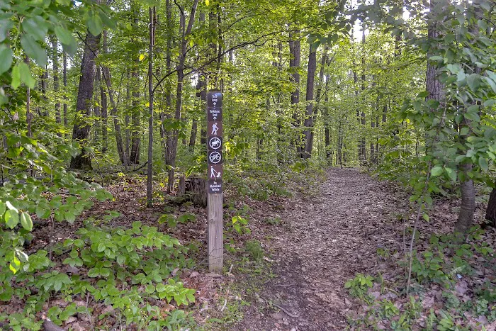 Little Bennett Campground 4