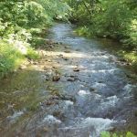 Whispering Pines Campground