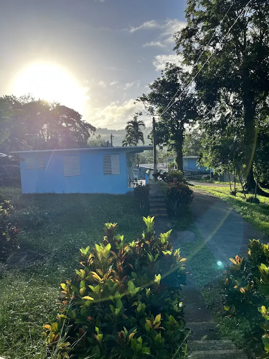 Campamento Adventista Elías Burgos 5