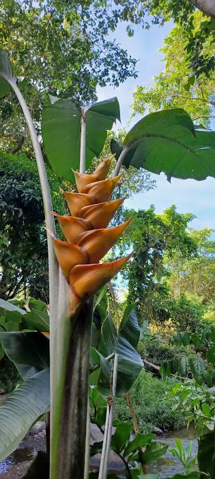 Cabanaselrucio 0