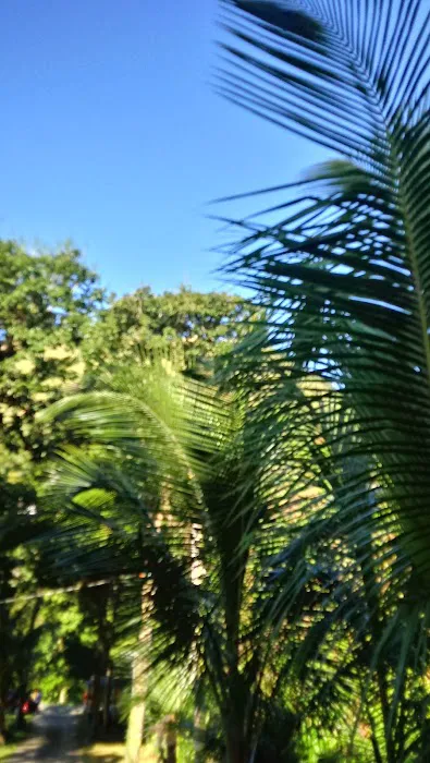 Cabanaselrucio 5