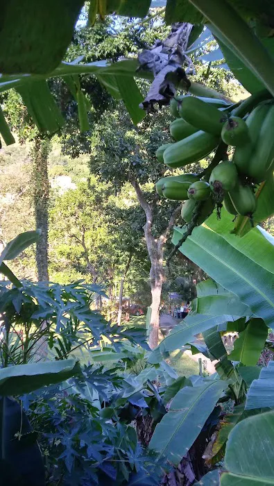 Cabanaselrucio 6