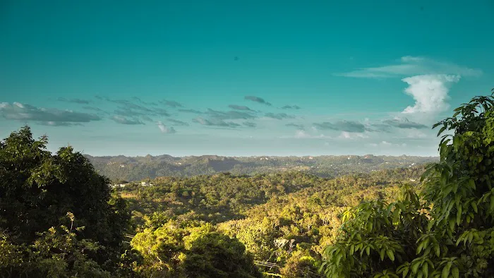 Finca Sajorí 2