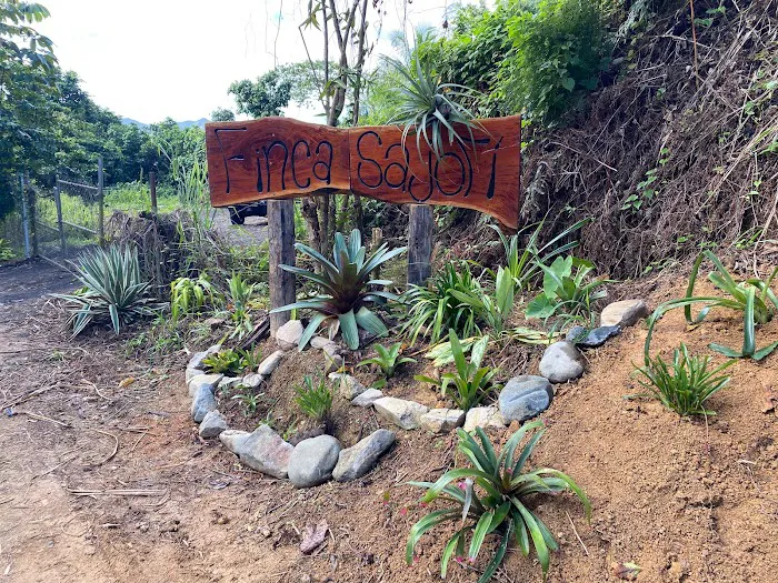 Finca Sajorí 8