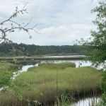 Ace Basin Campground and RV