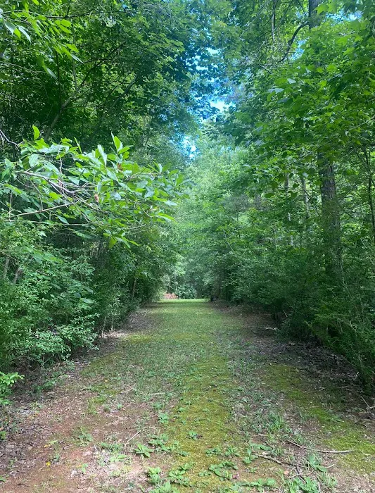 Ellerbe Springs Resort 4