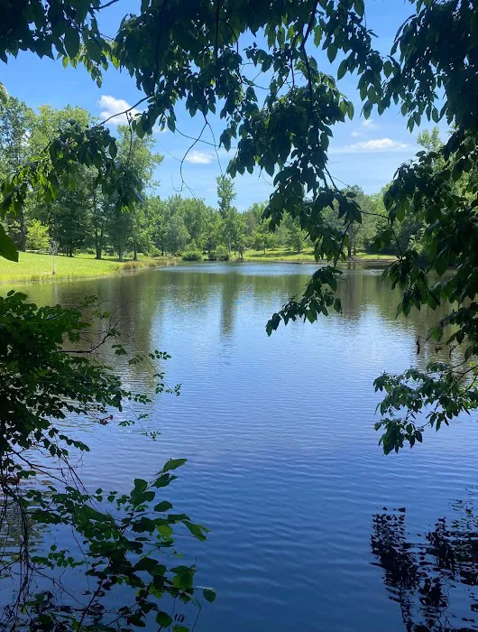 Ellerbe Springs Resort 8
