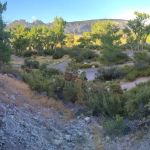 Green River Campground