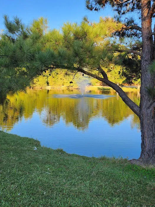 Magnolia RV Park 7