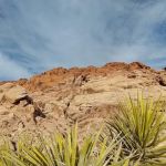 Red Rock Canyon NCA Scenic Drive Bureau of Land Management