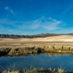 Tecopa Palms RV Park