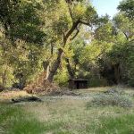 Cottonwood Campground