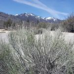 Chamise Flat Campground